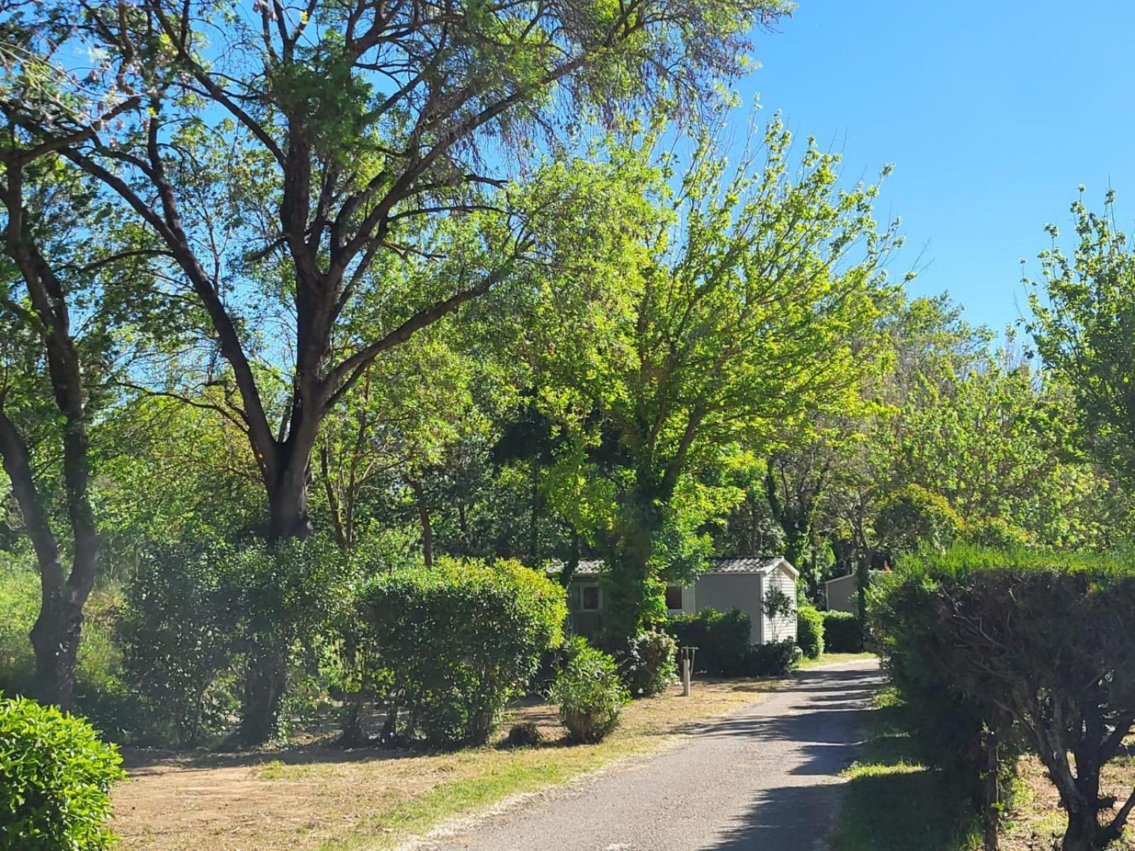 Le Val De Cesse * Mirepeisset