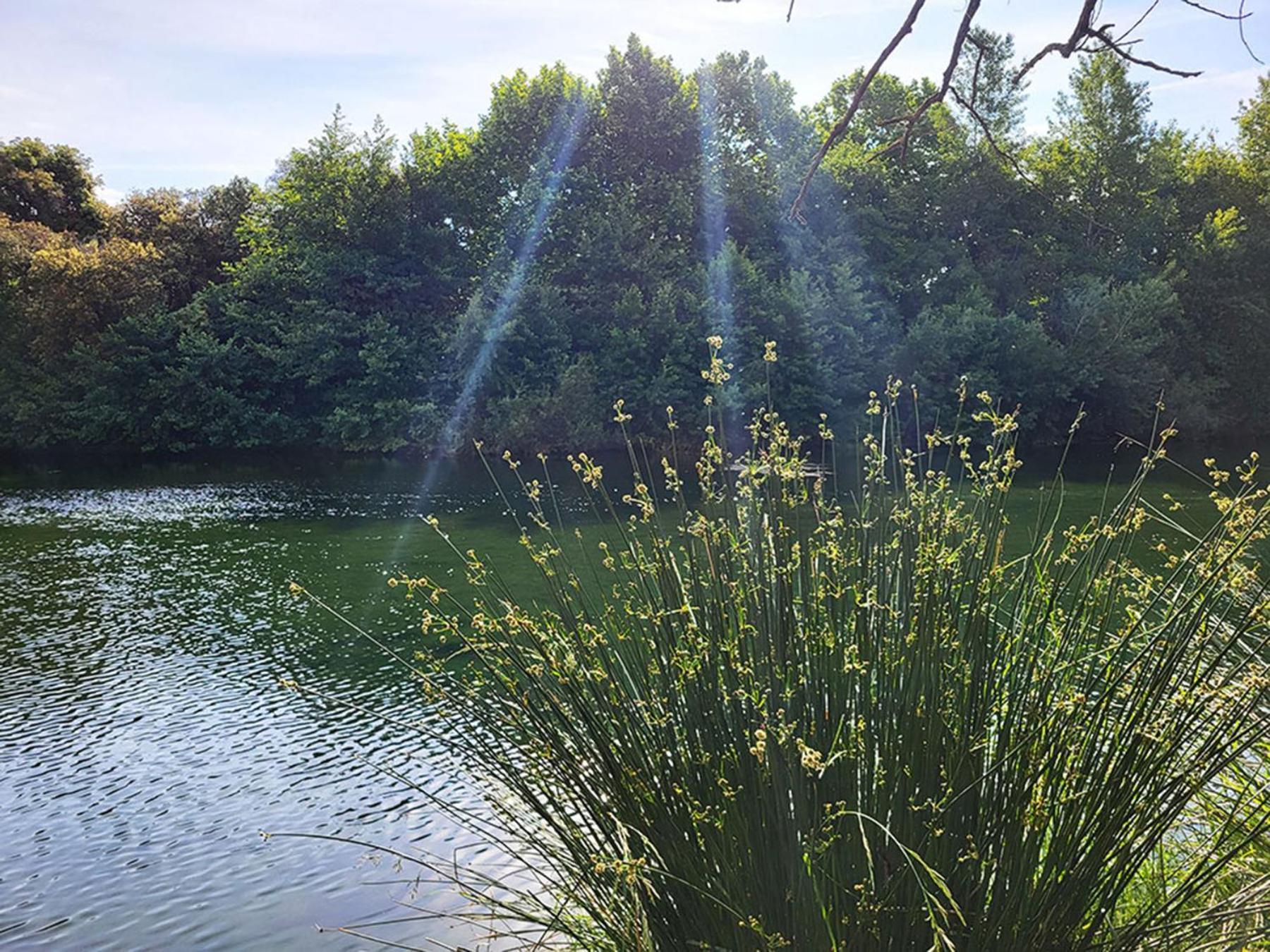 Camping Le Val De Cesse *