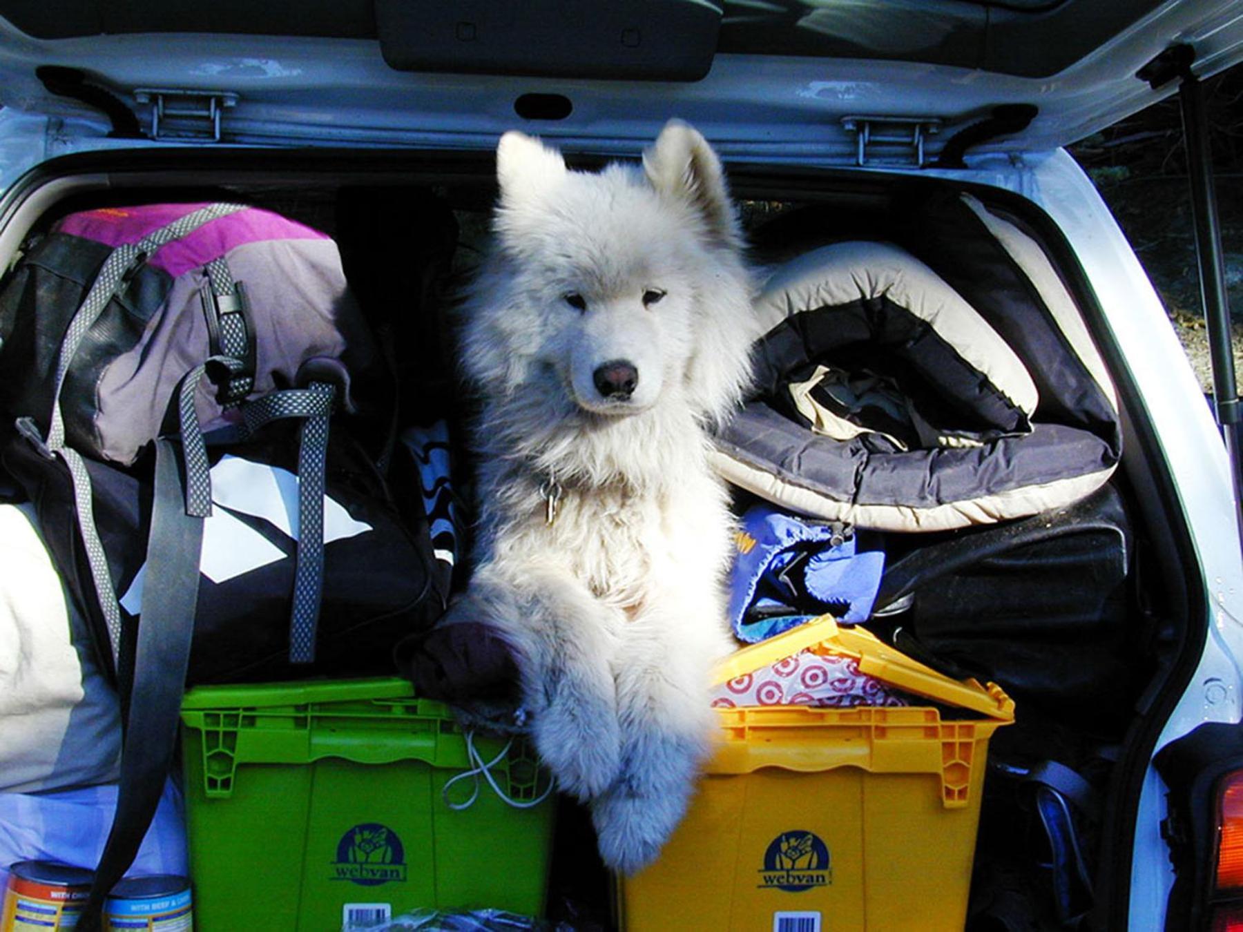 Le Val De Cesse Camping *